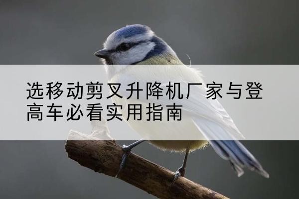 上杭电动升降机厂家-选移动剪叉升降机厂家与登高车必看实用指南