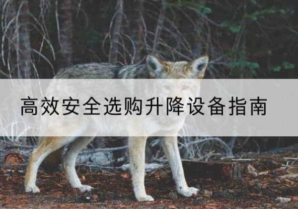 上杭升降货梯厂家推荐-*安全选购升降设备指南
